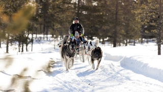 IHF_7000_250218.jpg.