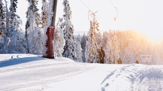 IHF_2171_260126.jpg.