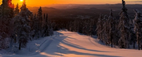 manchestermorgon_for_blur.jpg.