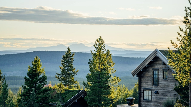 idrehimmel_sommar_2022_88.jpg.