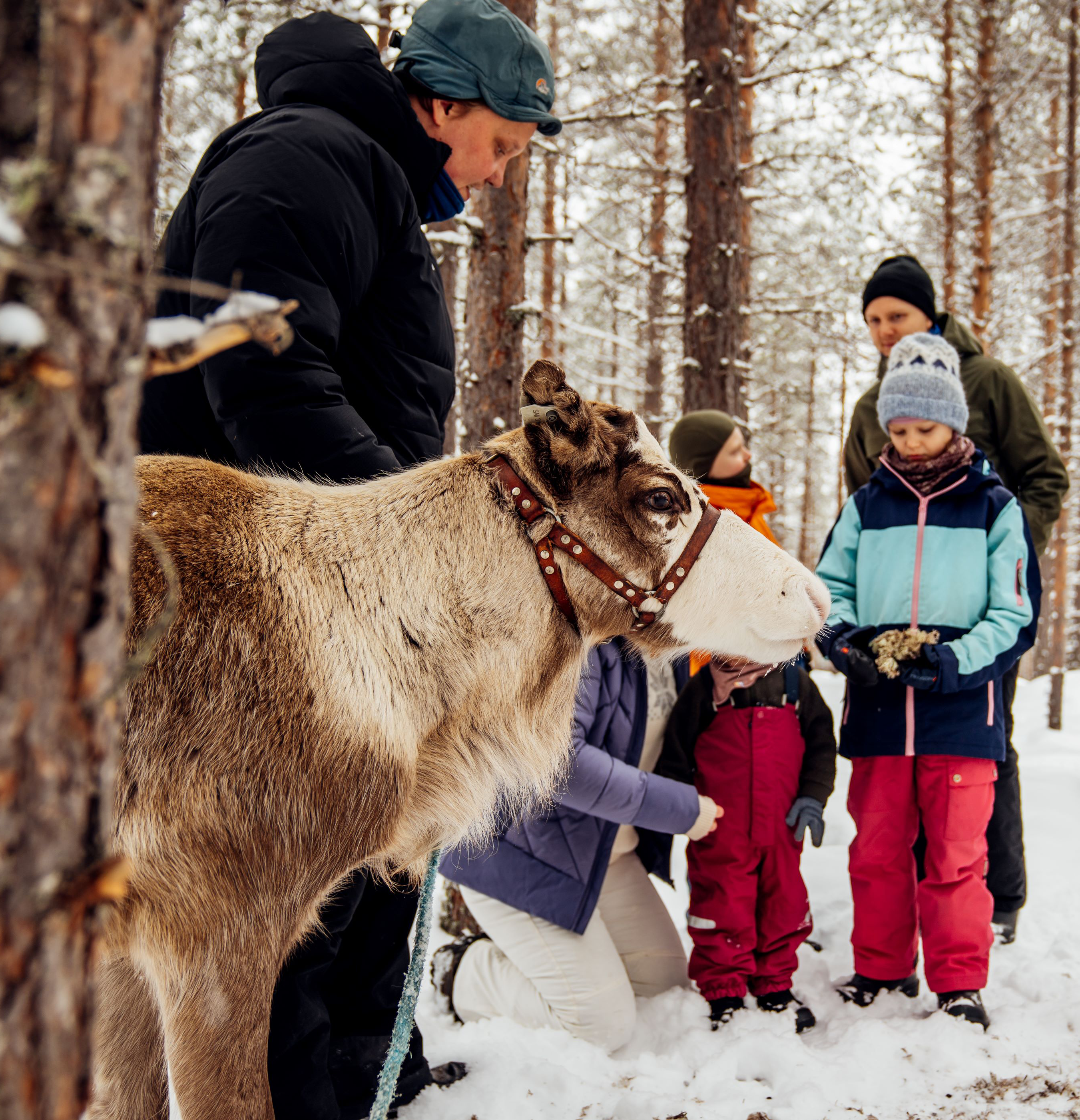 Boka skidutrustning på Idre Himmelfjäll